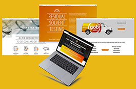 GobiLabs Website